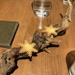 レストラン スノゥ - 