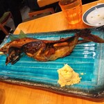 熟成魚場 福井県美浜町 - 