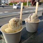 Hilo Homemade Ice Cream - 
