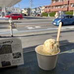 Hilo Homemade Ice Cream - 