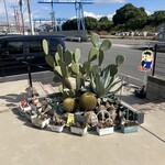 Heart Land Kitchen - 