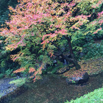 サントリー山崎蒸溜所 - 