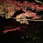 日本料理 とくを - 清水寺の夜間拝観③ 2014.11