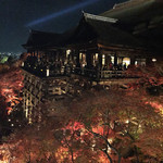 日本料理 とくを - 清水寺の夜間拝観① 2014.11