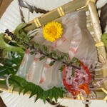 新橋酒場 横綱 - 