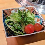 六本木 大皿焼肉 老中 - いなべの清流クレソングリーンサラダ