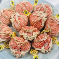 寿し島川 - 勢子蟹