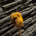 串揚げとワイン Ohana - 