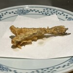 天ぷら新宿つな八 - メゴチ