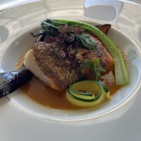 ツキ シュール ラメール - 