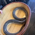 銀座 四代目 高橋屋 - 