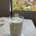 オクシモロン コマチ - 