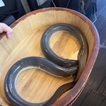 銀座 四代目 高橋屋 - 