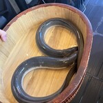 銀座 四代目 高橋屋 - 