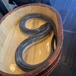 銀座 四代目 高橋屋 銀座店 - 