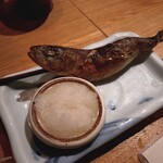 夜ノ焼魚 ちょーちょむすび - 