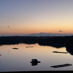 マレナSHIMA フレンチ - 