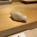 鮨仙八 - アオリイカ