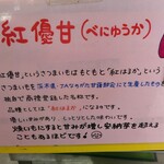 フレッシュ・クラブ - 可愛らしい名前