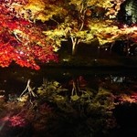 Koudaiji Ungoan - 池に反射する紅葉は言葉を失う美しさ