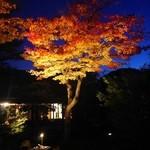 Koudaiji Ungoan - 