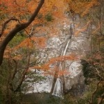 布引雄滝茶屋 - 紅茶時の布引の滝