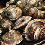 伊勢桑名 貝縁 - 