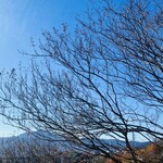 とんかつトミタ - 