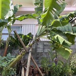 まつむとぅ家 - 