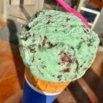 サーティワンアイスクリーム - 料理写真:チョコミント
