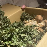 清澄白河 原田 - 