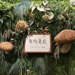 Shangri-La’s secret - 