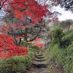 富士屋ホテル - 庭園の水車小屋へ向かう石段