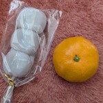 わくわく広場 - みかんと一緒だと・・コンパクトなの分かるでしょ♬