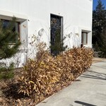 haluta bakery Oiwake - 外觀