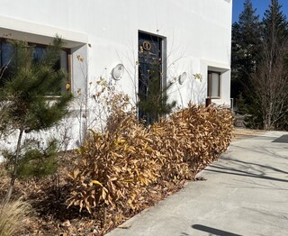 haluta bakery Oiwake - 外觀