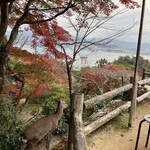 平松茶屋 - 
