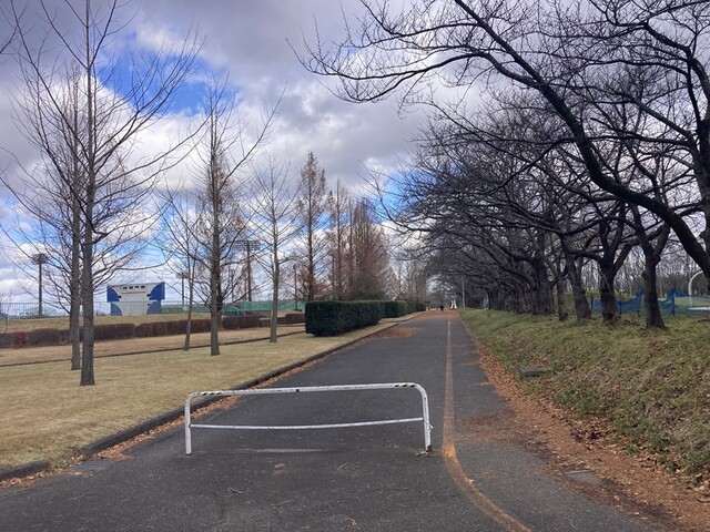 コメダ珈琲店 鶴岡南店 - 鶴岡（カフェ）の写真