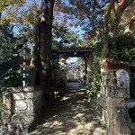 さくら坂ＶＩＶＡＣＥ - 