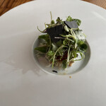 アドアステラ - 