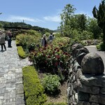 メリー畑体験バーベキュー ローザンベリー多和田 - 