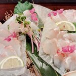 夜ノ森 - 身質の良さが写真からも伝わるでしょ？（やべ、見ててヨダレが…ｗ）