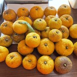沢井マウンテンカフェ - 