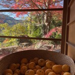 沢井マウンテンカフェ - 