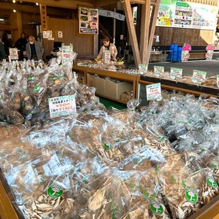 三川観光きのこ園_1