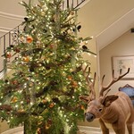 ソンブルイユ TOKYO - 