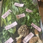 プレゼンテ スギ - 