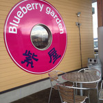 Blueberry garden - 