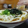いけこうどん