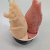 COCO GELATO 糸島店